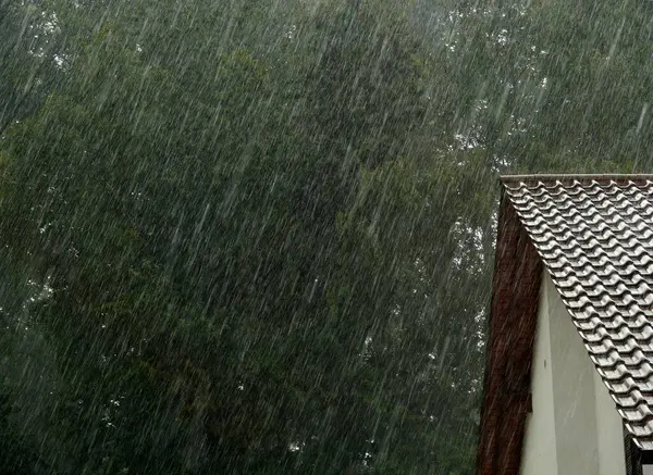 Heavy Rain Rainy Weather — Stock Photo, Image