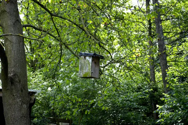 自然花园的雀巢盒 — 图库照片