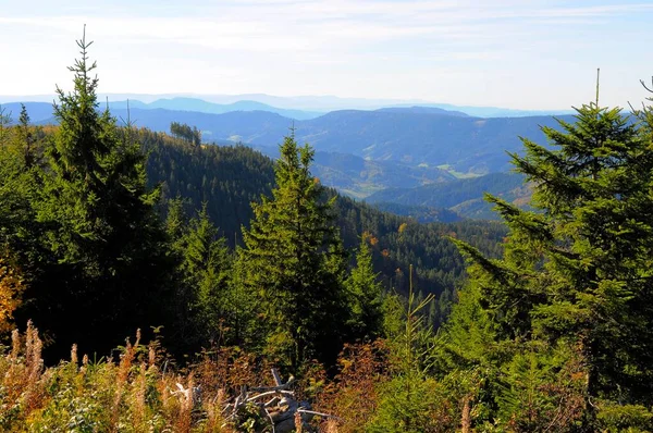 Güney Yönünde Lierbachtal Manzarası Schliffkopf Taki Kara Orman Yolu Steinmuerle — Stok fotoğraf