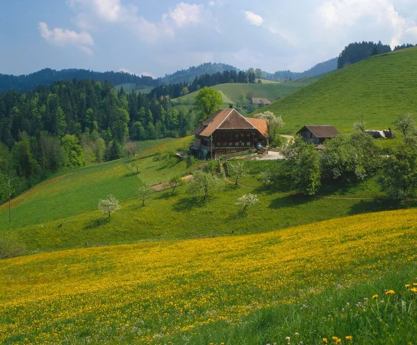 Schweizer Alpenlandschaft Bei Schangnau Hintergrund Hohgant — Stockfoto