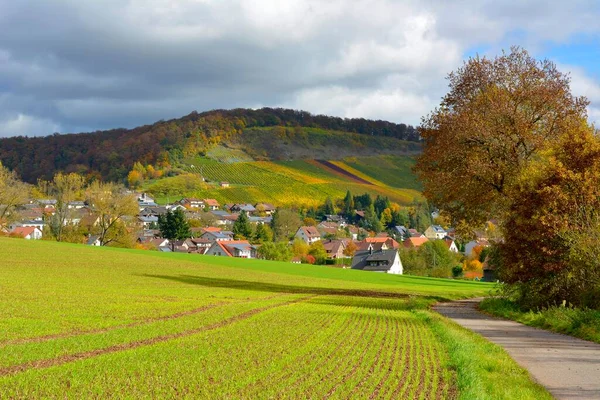 Weg Durch Herbstliche Landschaftlich Reizvolle Natur — Stockfoto