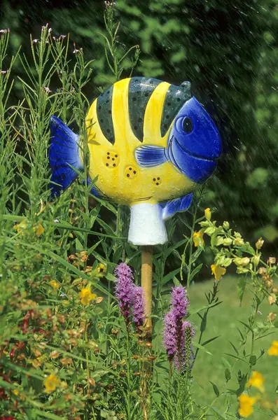 Ceramic Fish Garden — Stock Photo, Image