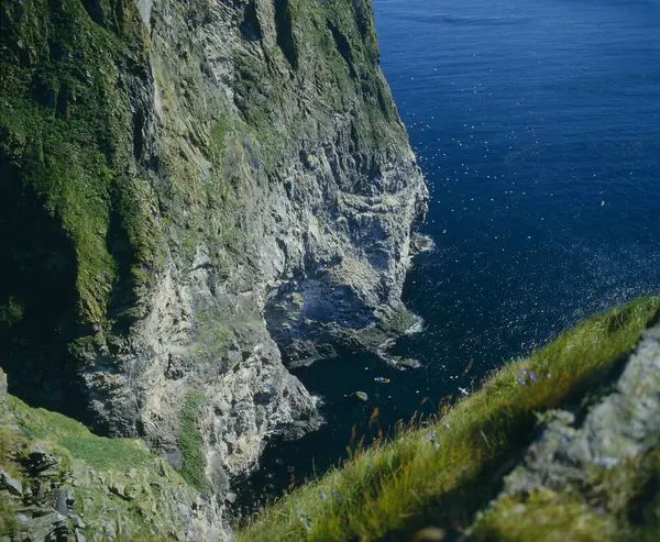 Пташиний Рок Острові Рундальранде Ґенне Норвегія Європа — стокове фото
