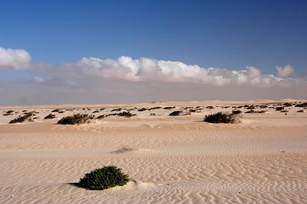 Witte Duinen Westelijke Sahara Marokko Afrika — Stockfoto