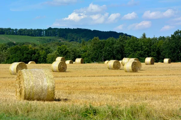 Maulbronn Getreidefeld Mit Strohballen Abgeerntet — Stockfoto