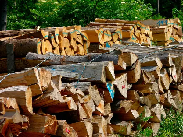 Holzstapel Brennholzlager — Stockfoto