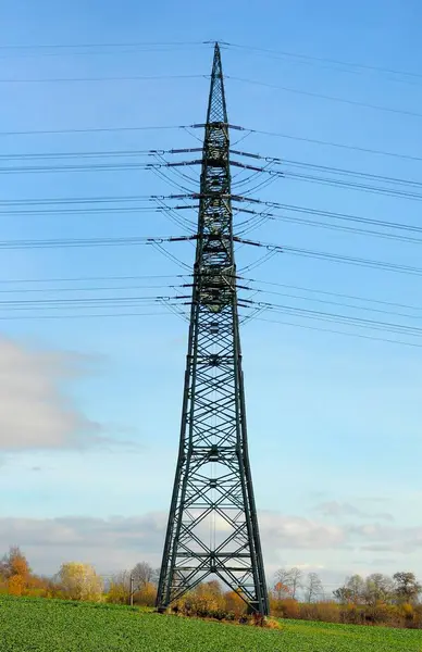 Electric Overhead Power Pole Field Power Poles Field Power Lines — Stock Photo, Image