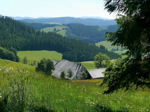 Titisee Yakınlarındaki Manzara Waldau Çiftliği Kara Orman Baden Wrttemberg Almanya — Stok fotoğraf
