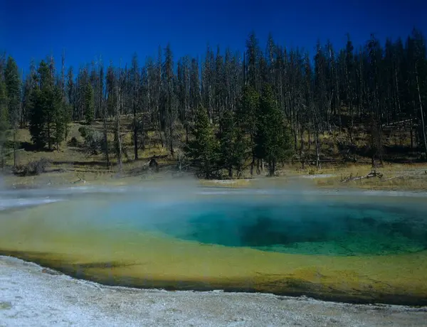 Gejzer Kopuły Parku Narodowym Yellowstone — Zdjęcie stockowe