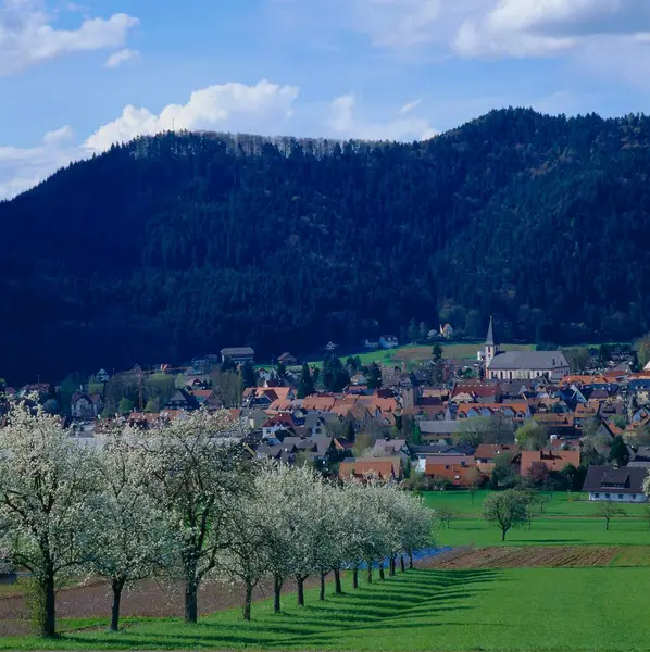 Spring Climatic Health Resort Zell Harmersbach Central Black Forest Baden — Stock Photo, Image