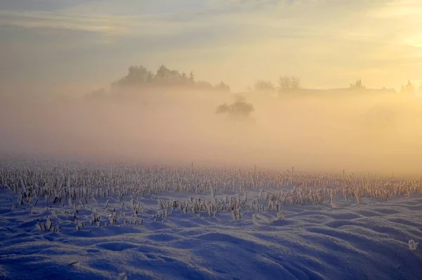Salida Del Sol Con Nieve Maulbronn Estado Ánimo Matutino Niebla — Foto de Stock