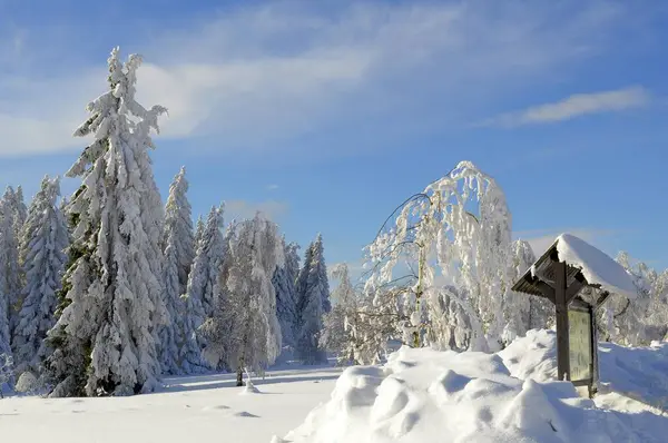 Czarny Las Zimą Las Świerkowy Czarny Las High Road Śnieżny — Zdjęcie stockowe