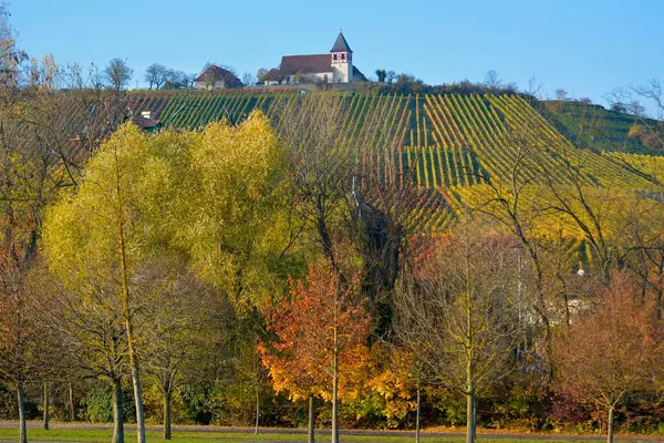 バーデン ウォルテンベルク 秋のワイン風景 チャペルとトリプスドリル クレブロン — ストック写真