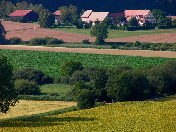Field Landscape Kraichgau Germany Europe Daytime View — Stock Photo, Image