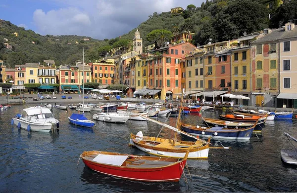 Italy Italia Liguria Riviera Levante Portofino Boat Harbour Europe — Stock Photo, Image