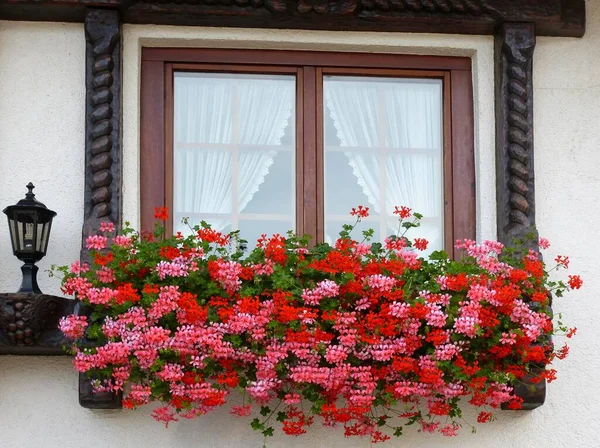 North, Black Forest slopes, geraniums blooming at the window, Baden, Wrttemberg, Black Forest