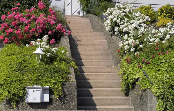 Jardim Rosas Com Escadas — Fotografia de Stock