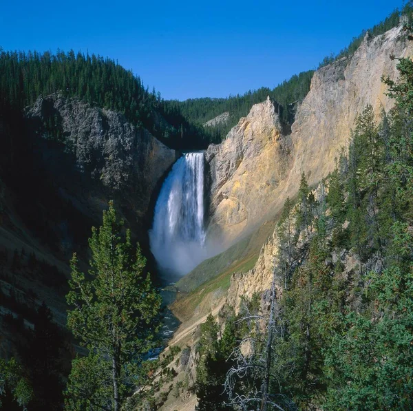 Usa Yellowstone Lower Falls Yellowstone River Yellowstone National Park North — Stock Photo, Image