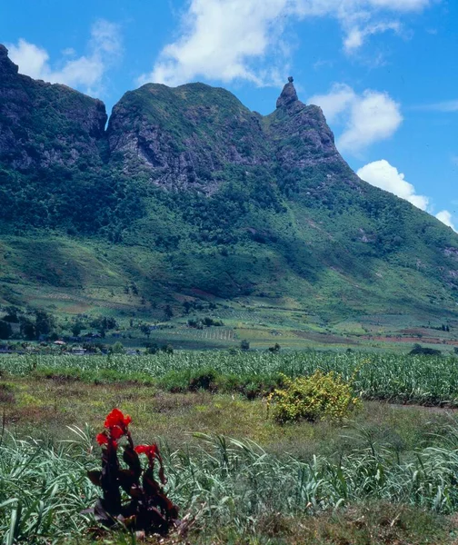 Vista Sobre Campos Cana Açúcar Para Montanha Mais Bonita Ilha — Fotografia de Stock