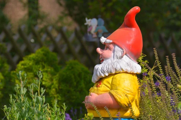 Garden Gnome Garden — Stock Photo, Image