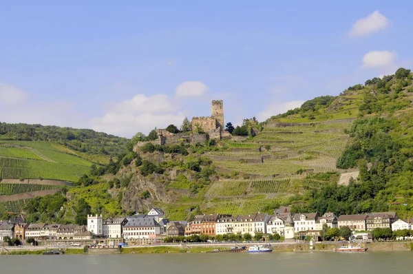 Rheinland Pfalz Kaub Rhein Unesco Welterbe Oberes Mittelrheintal Burg Gutenfels — Stockfoto
