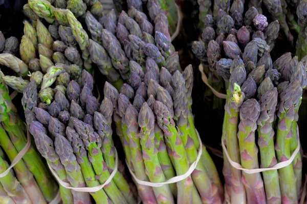 Italia Emilia Romagna Adriatic Sea Green Asparagus Vegetable Asparagus Garden — Stock Photo, Image
