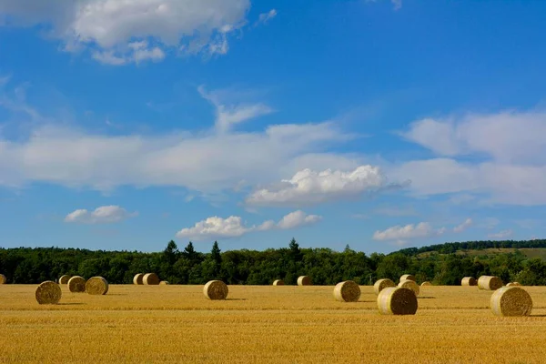 Maulbronn Harvested Cornfield Straw Bales Fair Weather Clouds — Stock Photo, Image