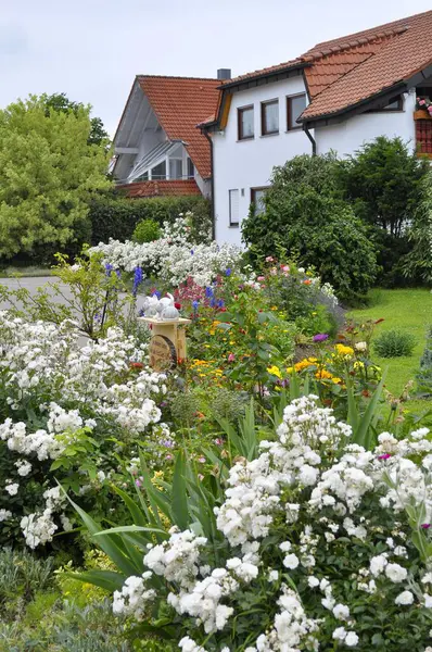 Κήπος Σπίτι Λευκά Τριαντάφυλλα Στον Κήπο — Φωτογραφία Αρχείου