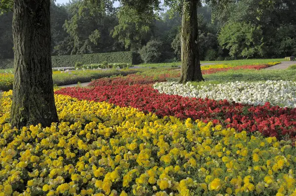 Stuttgart Killesberg Letní Květiny Lůžka — Stock fotografie