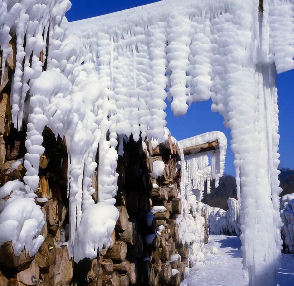 Παγοκρύσταλλοι Χειμώνα Μαύρο Δάσος — Φωτογραφία Αρχείου