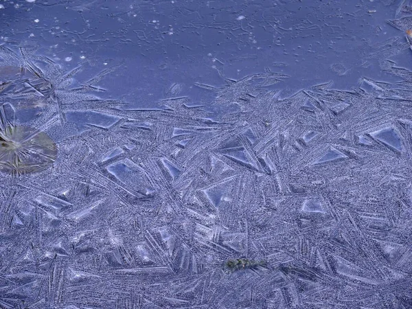 Cristais Gelo Lago Jardim Padrões Gelo Formações Gelo Estrutura Gelo — Fotografia de Stock