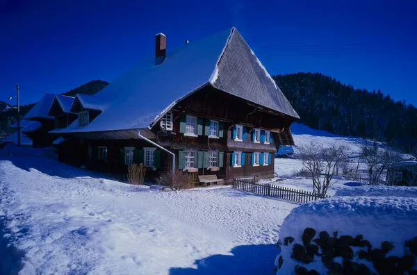 ウィリアム モルハウゼン近郊 エンツィーゼのブドウ園 雪が積もったエンスシュリーフの急斜面 冬の雪と冬の風景 冬の雪が積もるブドウ畑小屋 — ストック写真