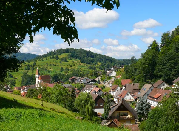 Norra Schwarzwald Village Reichental Tyskland — Stockfoto