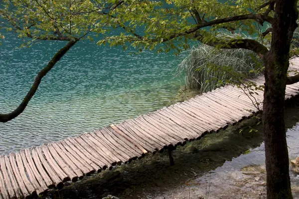 Holzpfad Nationalpark Plitvicer Seen Kroatien — Stockfoto
