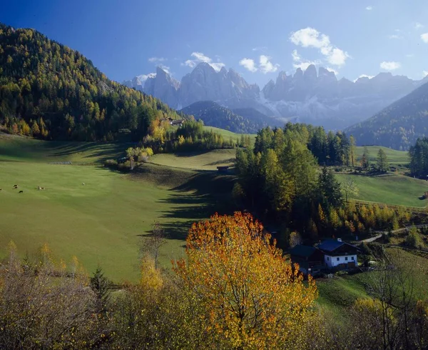 Autumn Villnss Valley Background Geisler Peaks Fermeda Towers Italy Dolomites — Stock Photo, Image