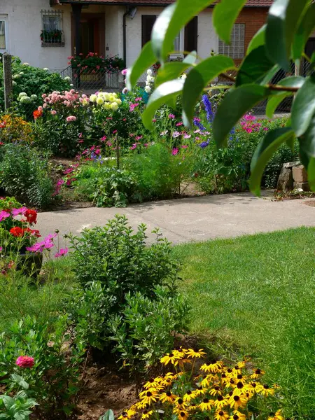 Πολυετής Κήπος Καλοκαίρι Διάφορα Λουλούδια Στον Κήπο Κήπο Εξοχικό Σπίτι — Φωτογραφία Αρχείου