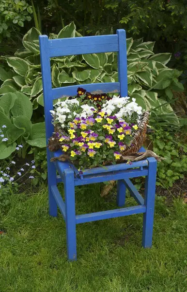 Chaise Bois Bleu Avec Panier Fleurs Dans Jardin — Photo