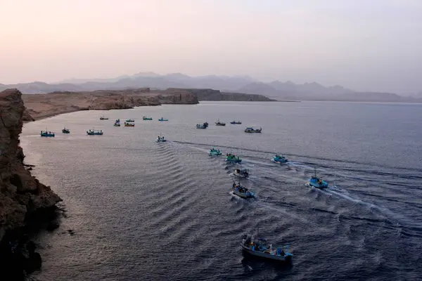 Boats Gather Ras Muhammed Fish Egypt Africa — Stock Photo, Image