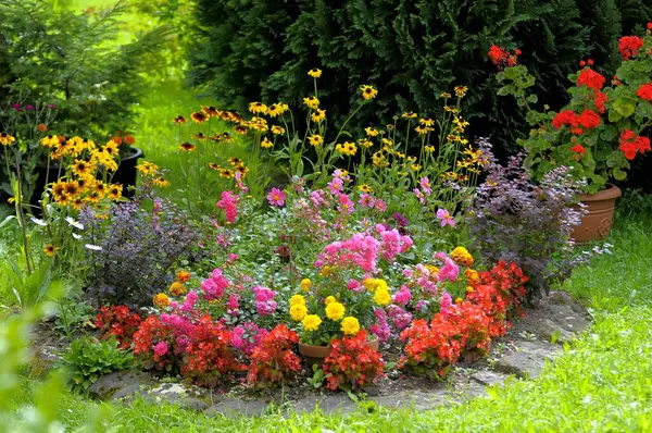 符腾堡 黑森林小屋花园 多年生花园 各种花园花卉 — 图库照片