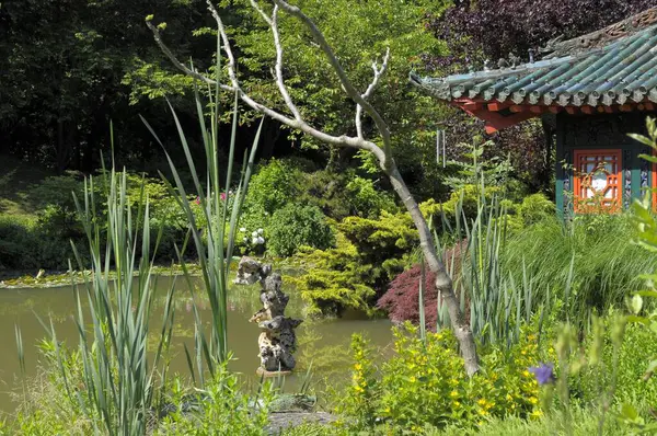 Asian garden in Mnzesheim, Kraichgau, Japan garden, tea house, pond