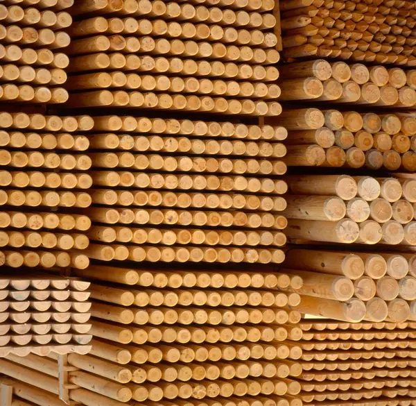 Log piles, close-up view
