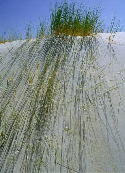 Песчаные Дюны Маррам Грасс — стоковое фото