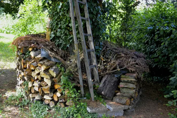 Bahçedeki Odun Deposunda — Stok fotoğraf