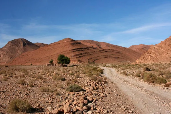 Dirt Road Leads Oued Ait Herbil Atlas Morocco Africa — Stock Photo, Image