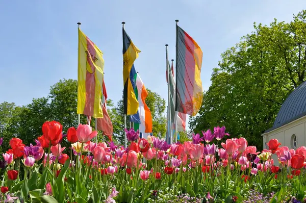 Severní Černý Les Baden Baden Lázeňská Zahrada Lázeňský Hotel Tulipánové — Stock fotografie