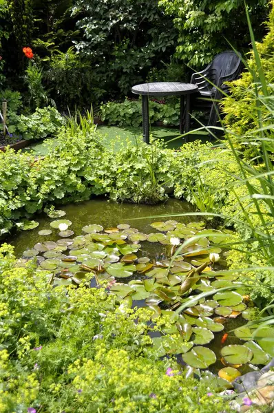 Garden pond in summer