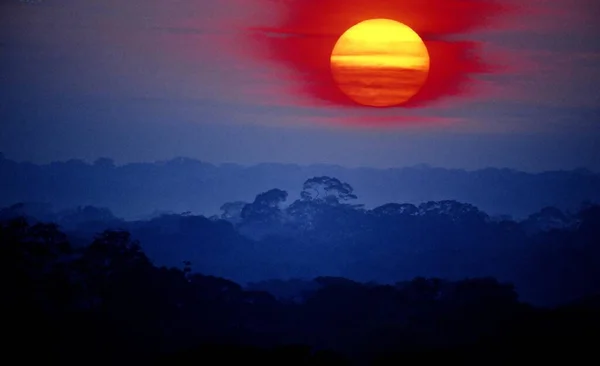 Схід Сонця Про Тропічні Ліси Перу Заповідник Тампопата Схід Сонця — стокове фото