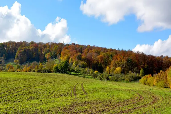 Schtzingen Strombergova Oblast Wrttembersku Podzim — Stock fotografie