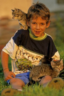 Boy with young house cats clipart