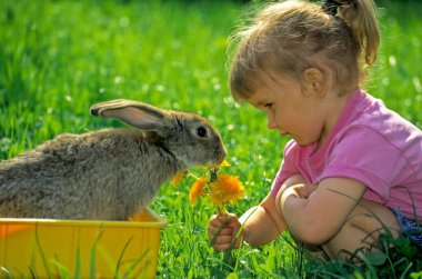 Girl with dandelion bouquet plays with rabbit clipart